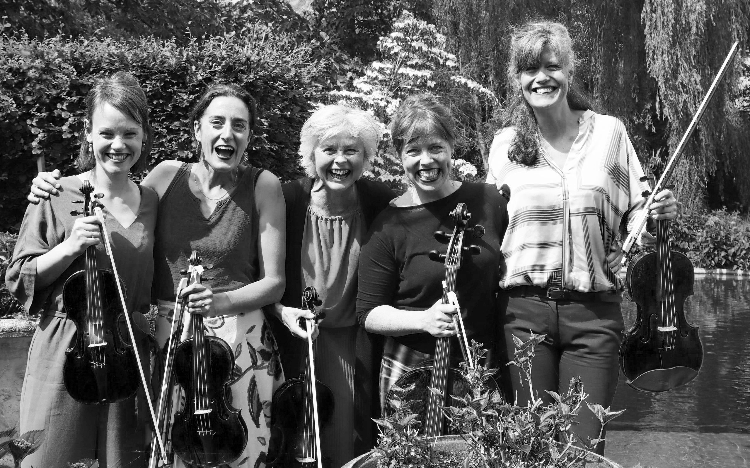 Penta Quintet ZW